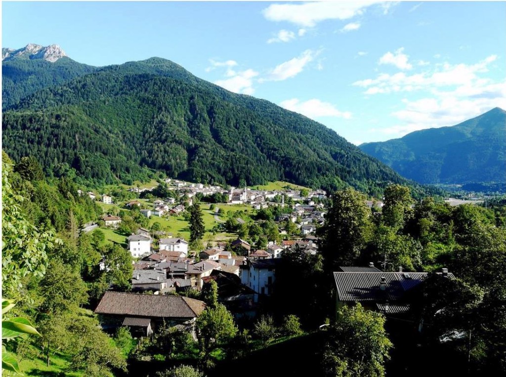 arga-friuli-vg-unaga-foreste