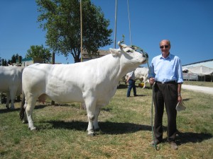IMG_3654viss